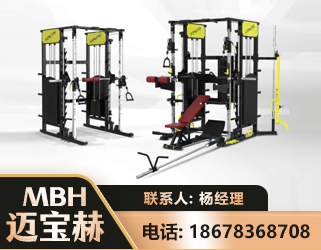 铁岭多功能综合训练器