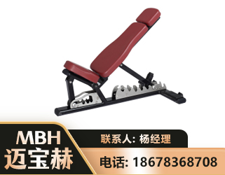 铁岭可调哑铃椅
